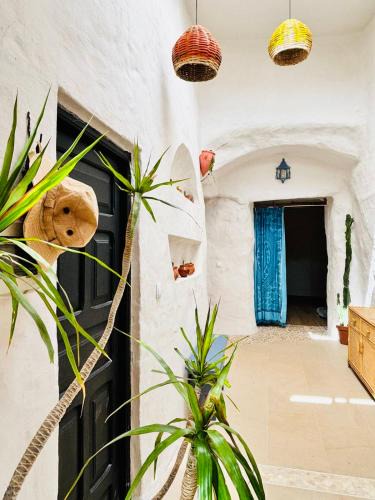 Ingenio House | Cueva Las Nubes