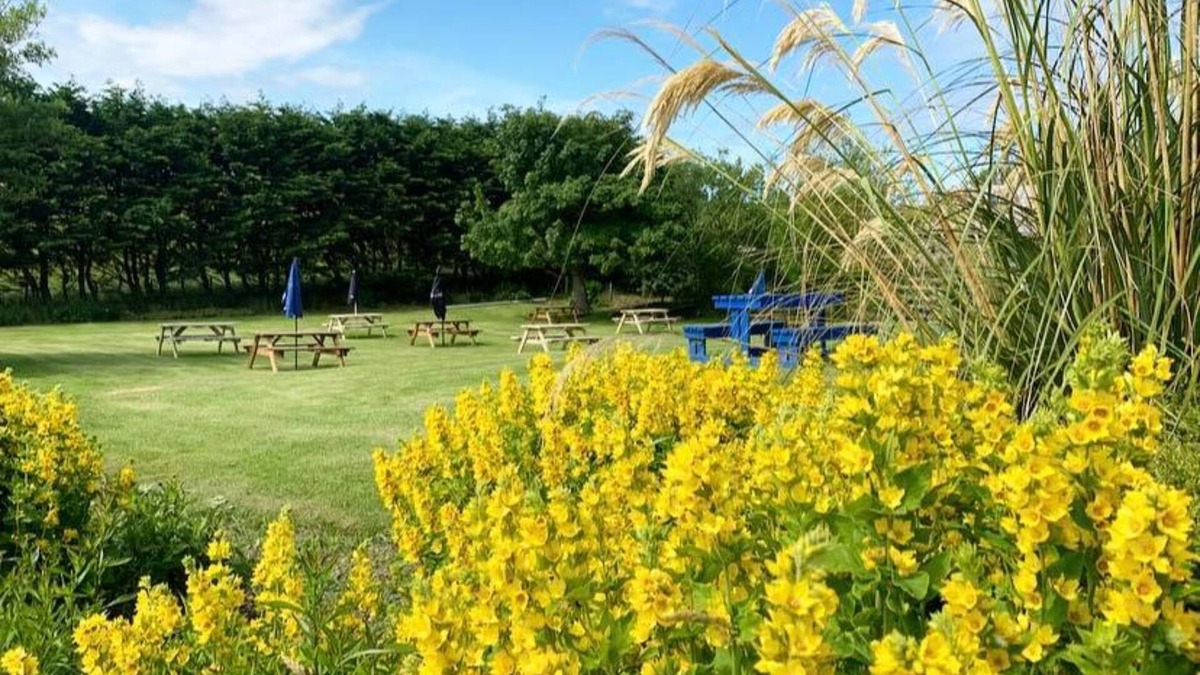 Cullen Hotel | Cullen Bay Hotel