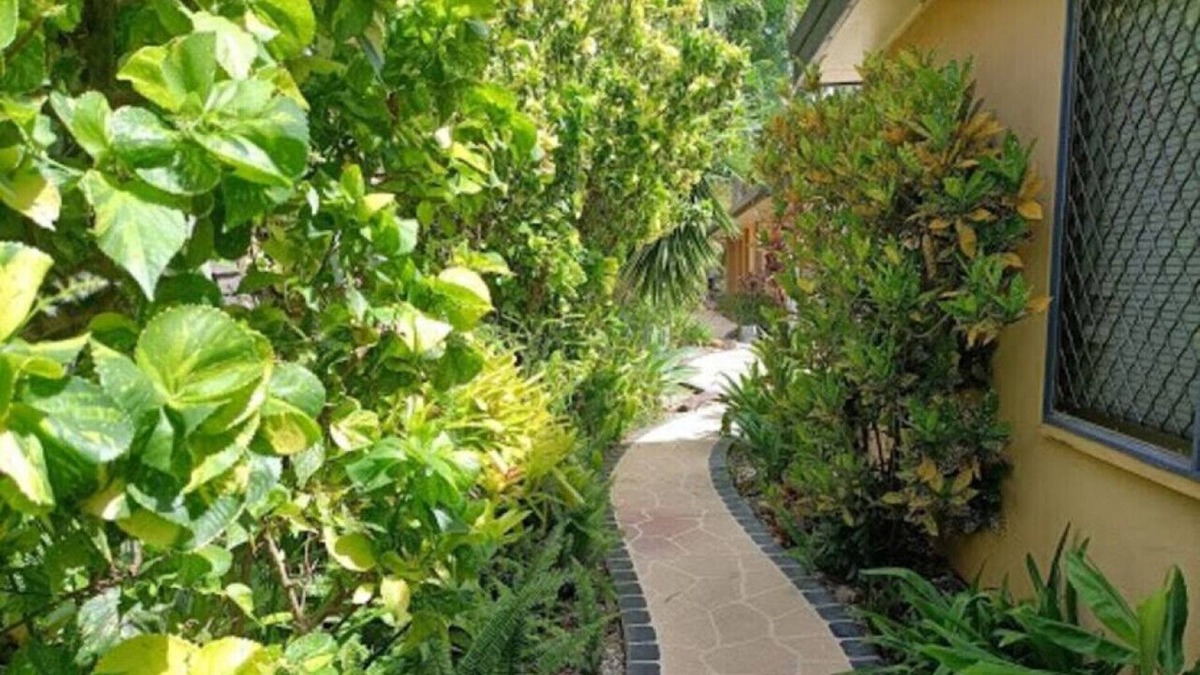 Currumbin Waters House | Currumbin Creek Front - Tropical & Private with Pool