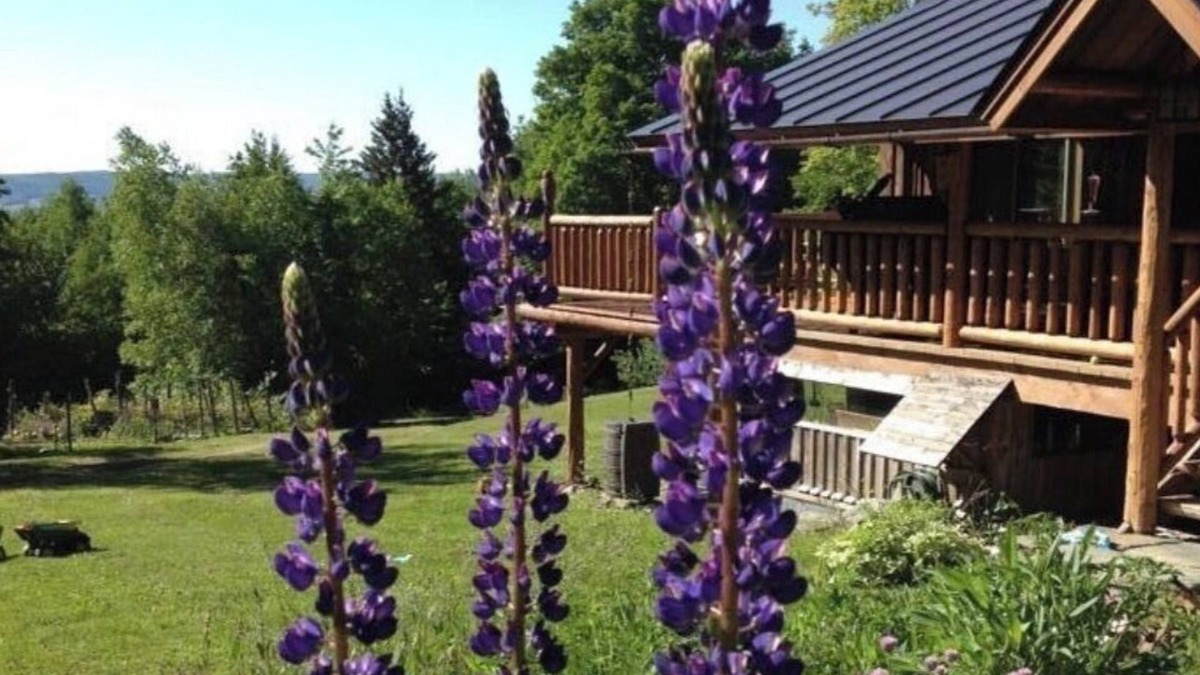 Northfield Cabin | Custom Built Luxury Log Home, Best on property Trout Fishing!
