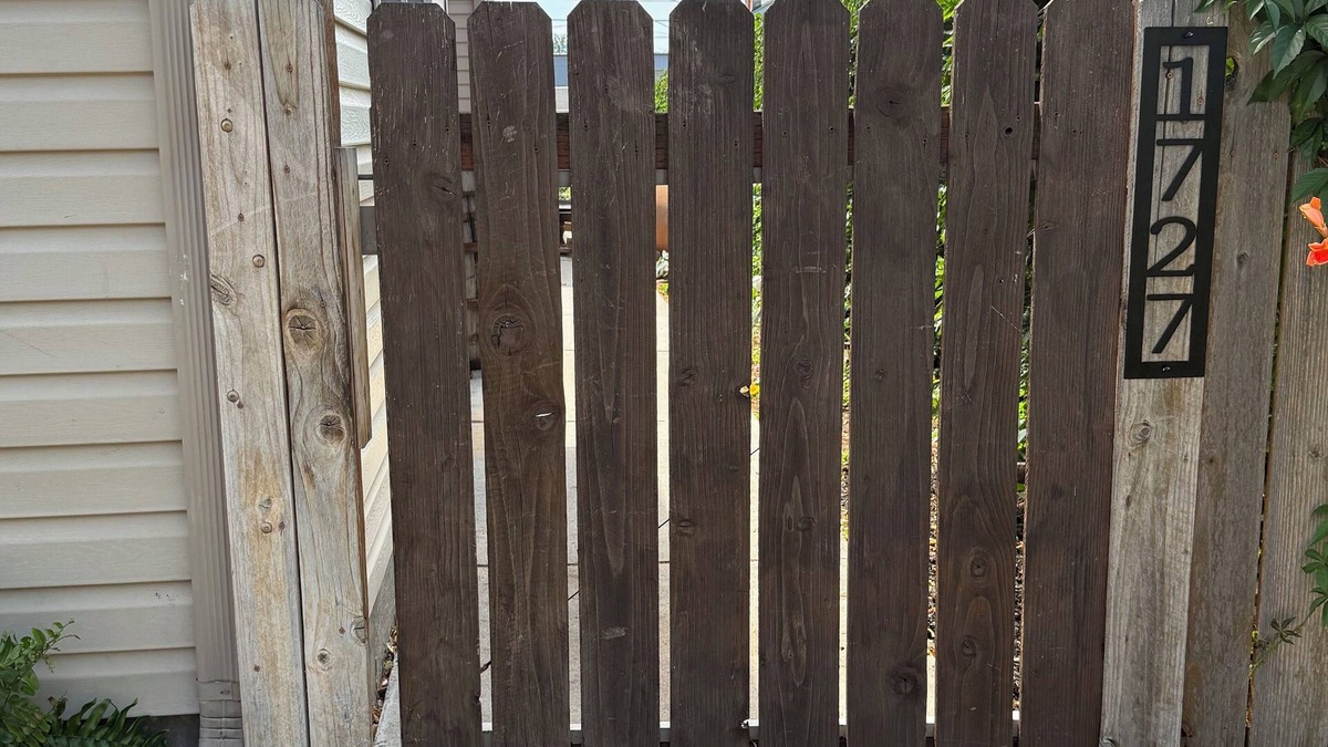 Westside House | Cutest Coop on Cooper Street for YOU and Your Furry Friends!