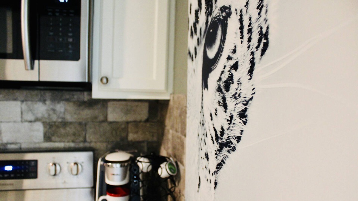 Leon Valley House | CYC Big Cat HideAway