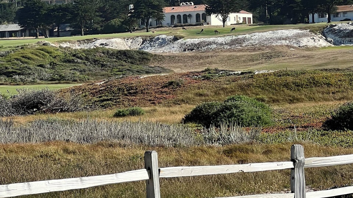 Pebble Beach House | CYPRESS PARADISE nAmazing home on number 2, at CPGC, walk to Cypress Point!