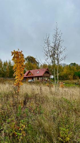 Gizycko House | Czapla i Żuraw