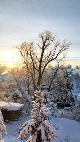 Borova Apartment | Dům U západu slunce