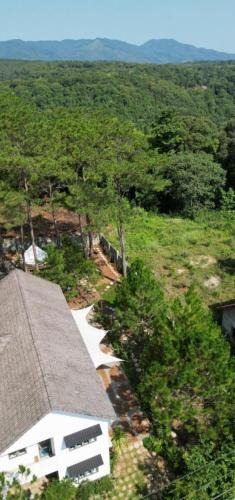 Kon Plong Cabin | Dốc mộng mơ homestay & villa