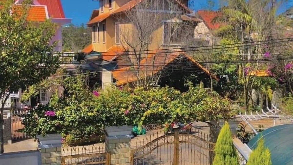 Phuong 10 Hotel | D House Dalat