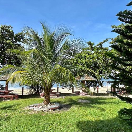 Siquijor Hotel | D's Oceanview Beach Resort