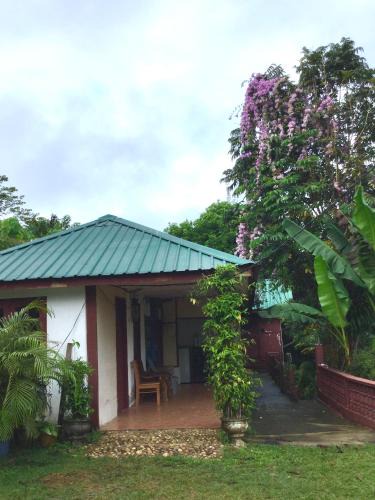 Kuala Tahan Hotel | D view hill hotel