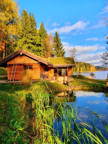 Sermuksi House | Dabas Fito SPA OzolRasas, Aromterapijas pirts iekļauta cenā