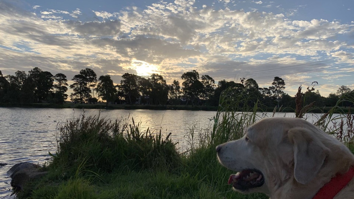 Reservoir House | Daffodil Room - 5 min walk to Edwards lake