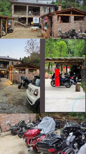 Kobuleti House | Dagva Travelers House