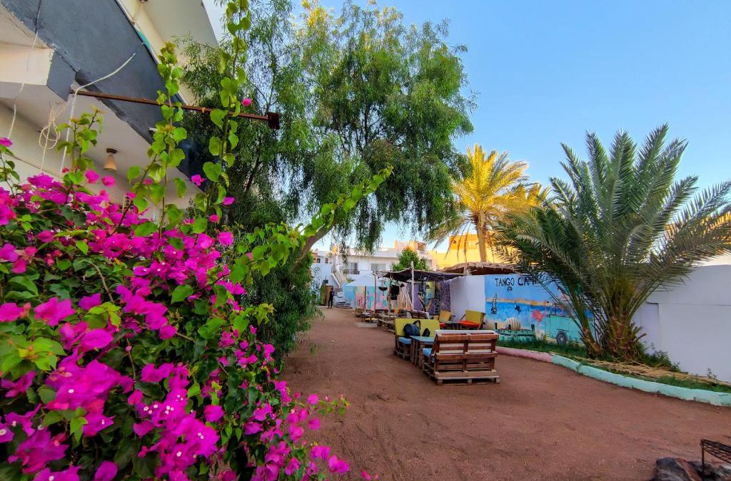 Dahab Hotel | DAHABIA CAMP