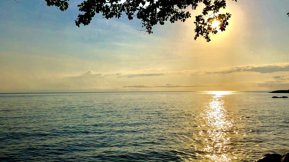 Forest Creek Bed & Breakfast | Daintree Manor Bed & Breakfast