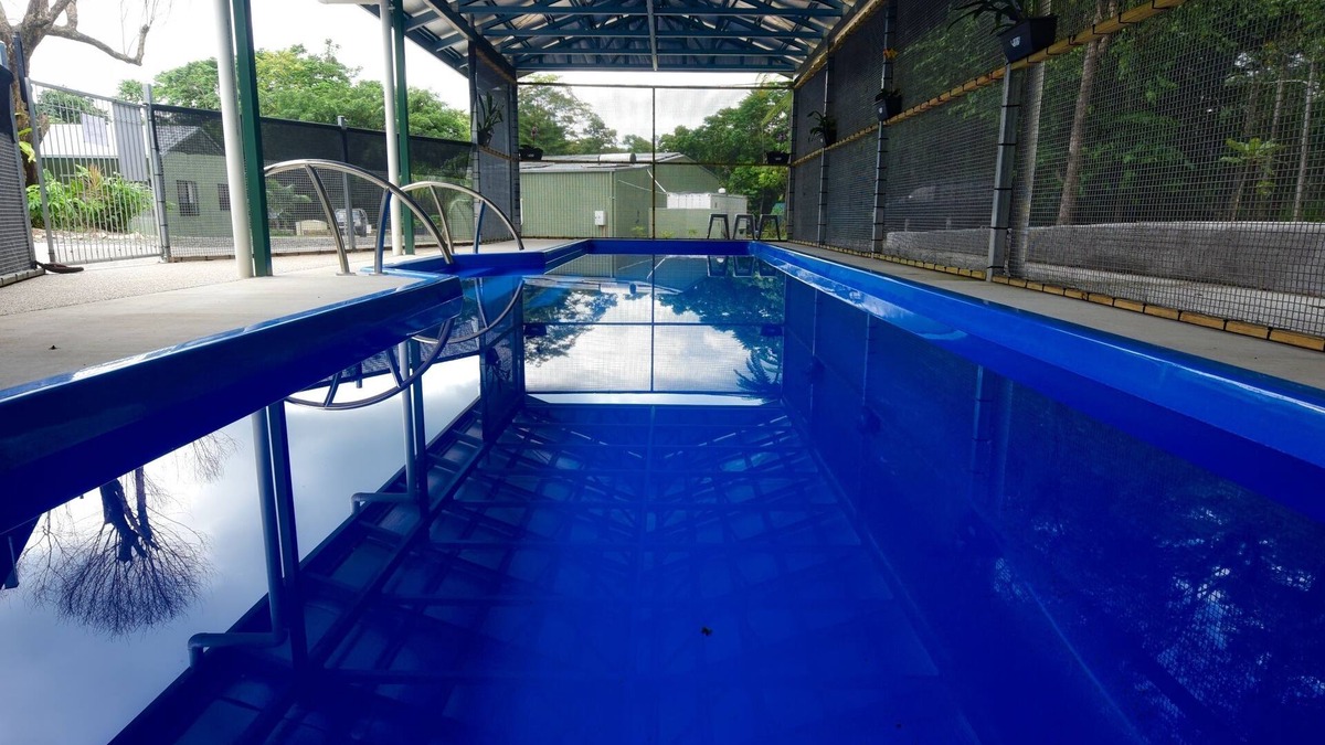 Diwan Hotel | Daintree Peaks ECO Stays