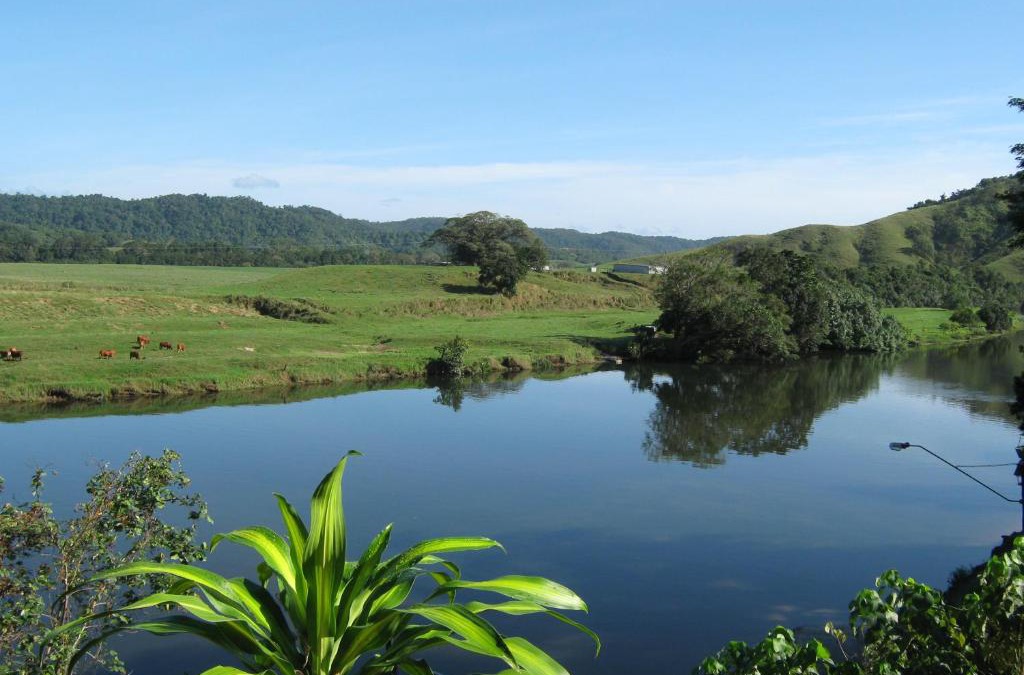Daintree Cabin | Daintree Riverview Lodges