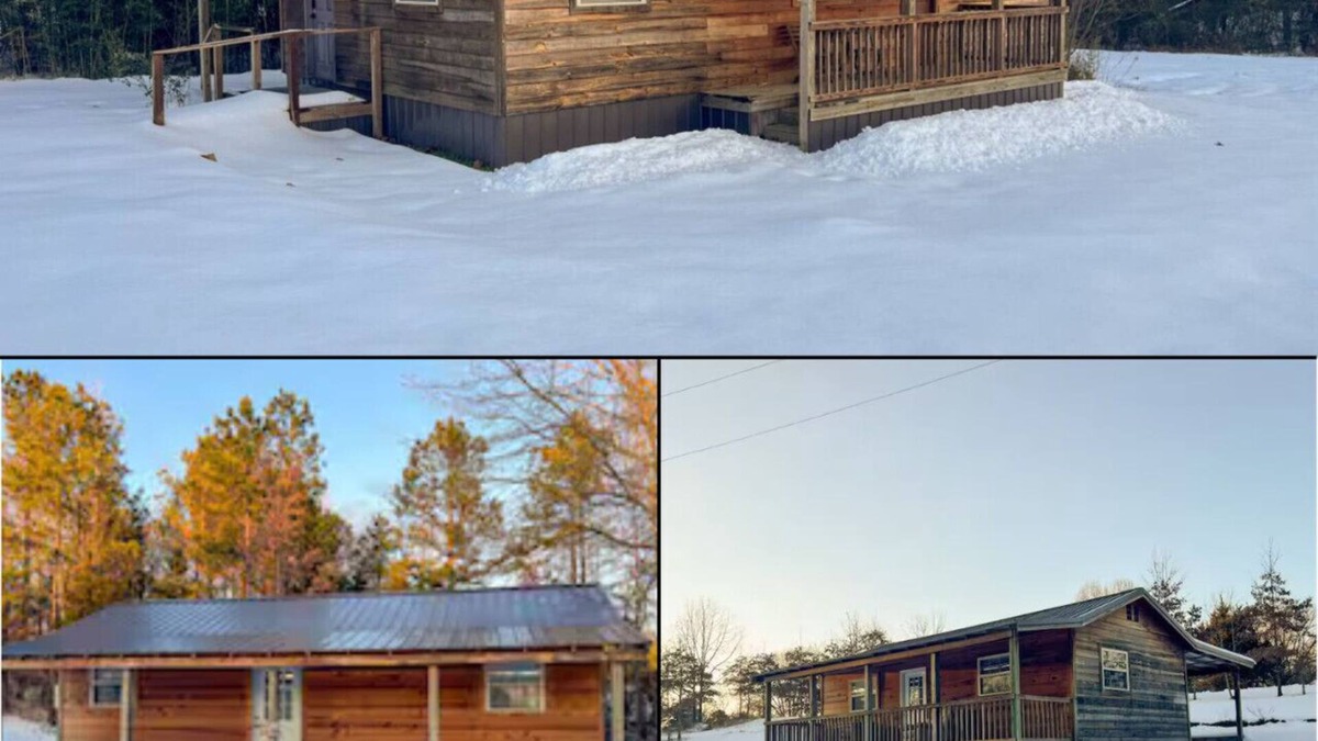 Daisy Cabin | Daisy Creek - Entire Property