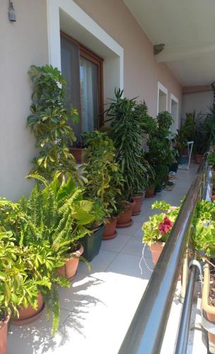 Tirana Apartment | DAJTI VIEW Ap