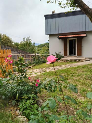 Carrara House | Dal Mae'