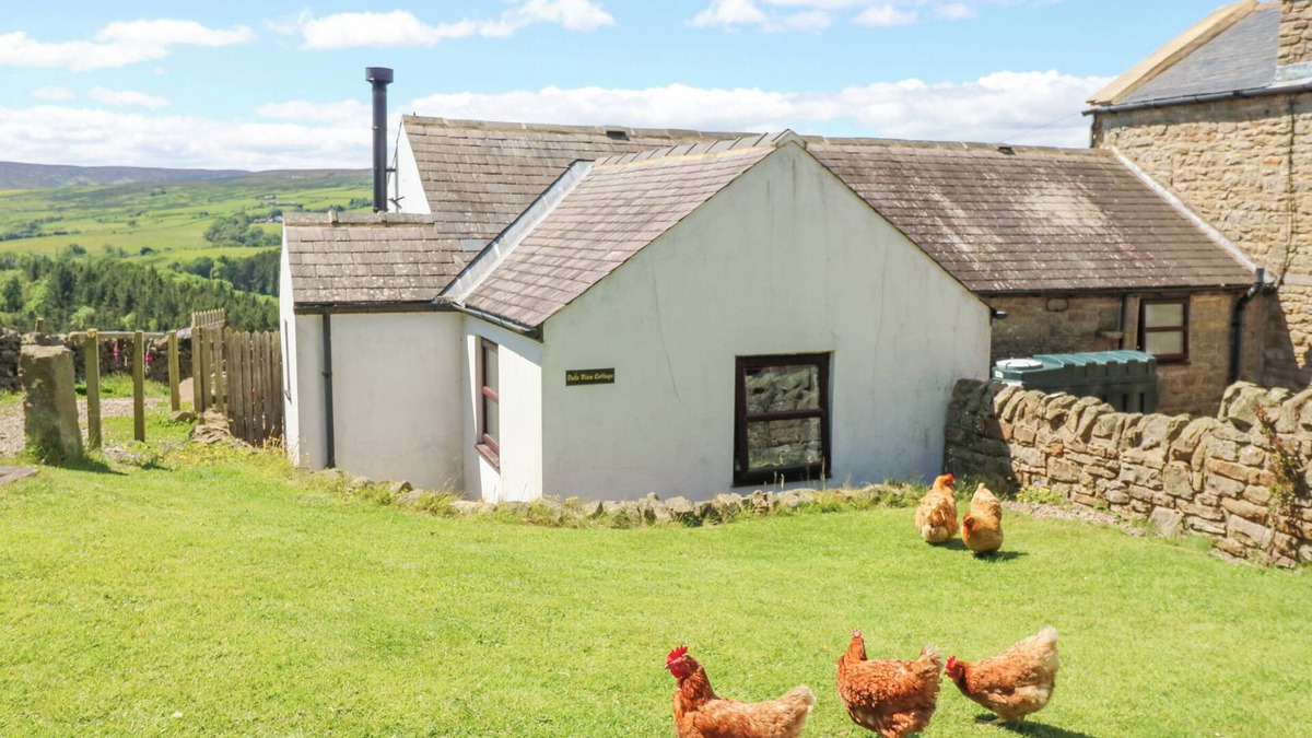 Allendale Cottage | DALE VIEW COTTAGE, pet friendly, with open fire in Allendale