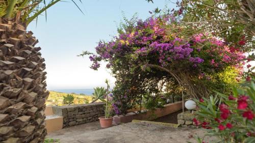 Pantelleria Villa | Dammuso Blanco