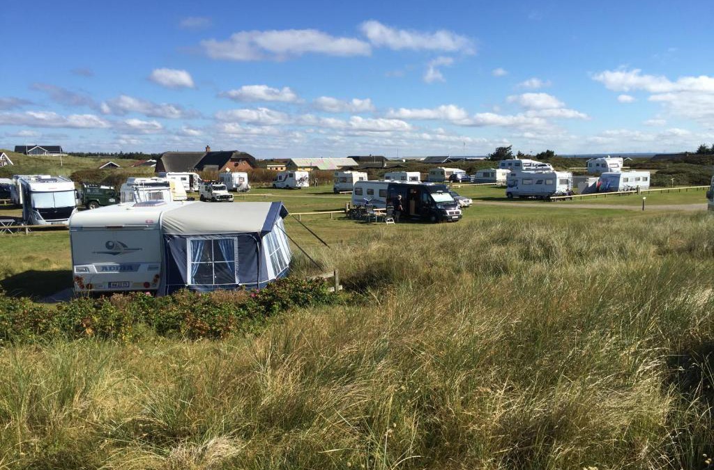 Argab Other | Dancamps Holmsland (Camp Site)