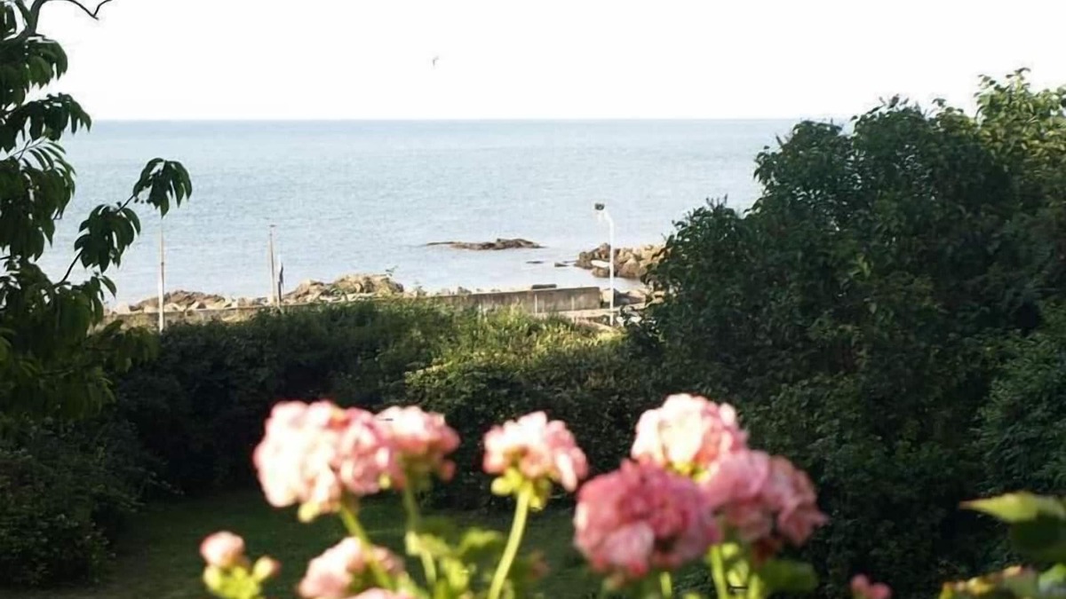 Allinge Bed & Breakfast | Danchelshus