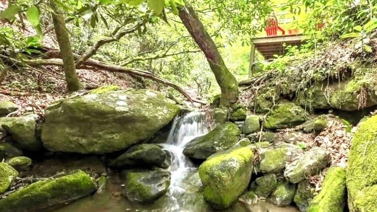 Highlands Cabin | Dancing Bear: Top rated on 2 Private Creek acres w screened porch, WiFi, Grill