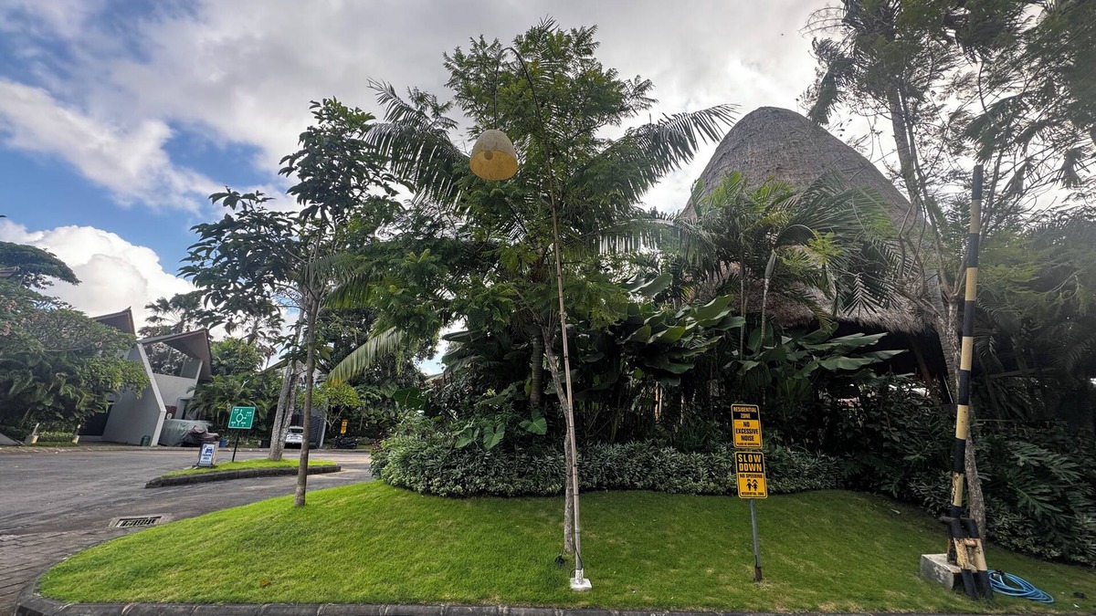 Taman Griya Villa | Dancing villa with one bed