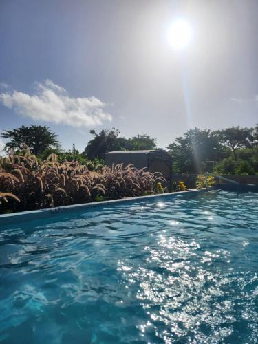 Las Galeras Bed & Breakfast | Dani's Guesthouse