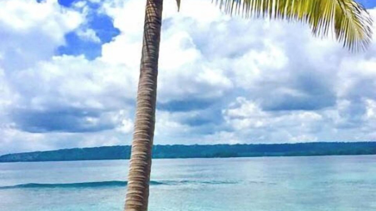 Turtle Bay Resort | Dany Island