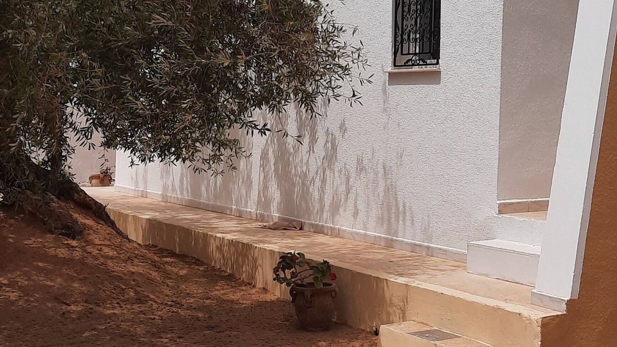 Hachene House | Dar El Janna 26 - the house of paradise