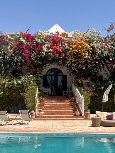 Essaouira Bed & Breakfast | Dar MA