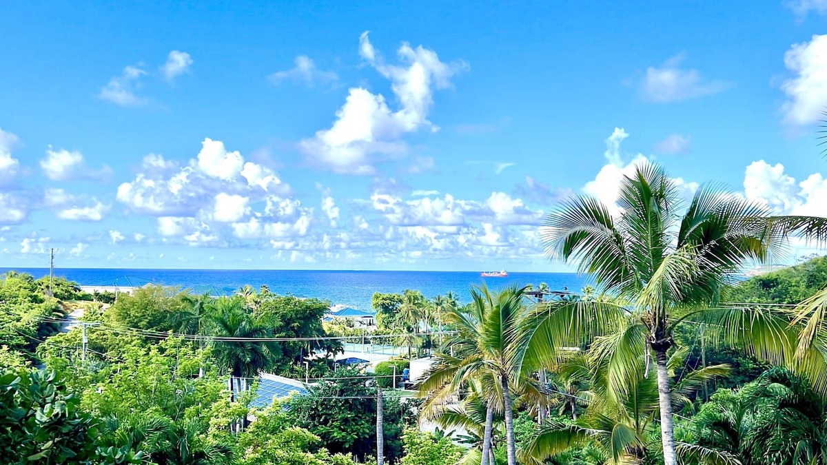 Flag Hill House | Darling Palms Retreat: Beachside 2-Bedroom Oasis