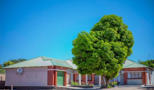 Livingstone Apartment | Darter Road Air conditioned apartment