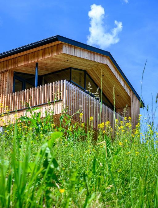 Maria Alm am Steinernen Meer Apartment | Das Hillside Maria Alm Hintermoos