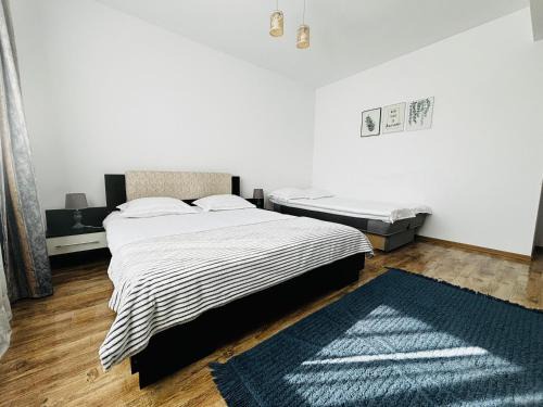 Rasnov Apartment | DAS Home-Vedere la Muntii Bucegi parcare gratuita