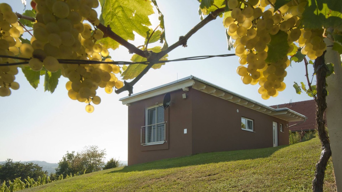 Johnsdorf-Brunn House | "das nussberg" holiday home in the vineyard