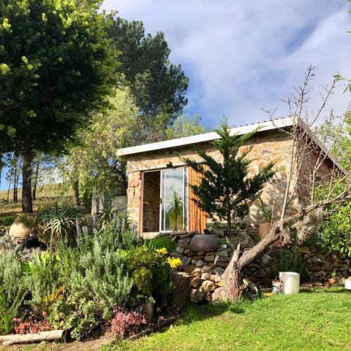 Napier House | Das Steinhaus
