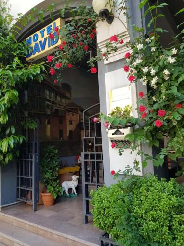 Sololaki Hotel | David Hotel - Ethno style