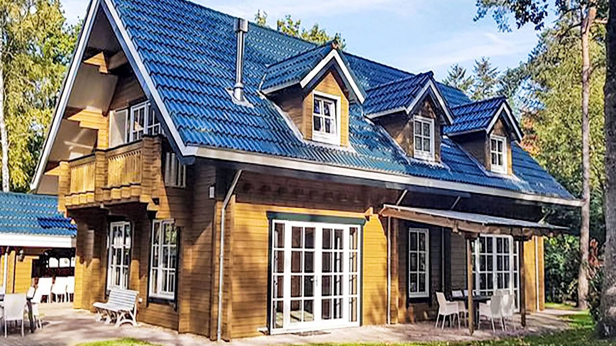 Bosgebied Hoenderloo House | De Bosuil by Interhome