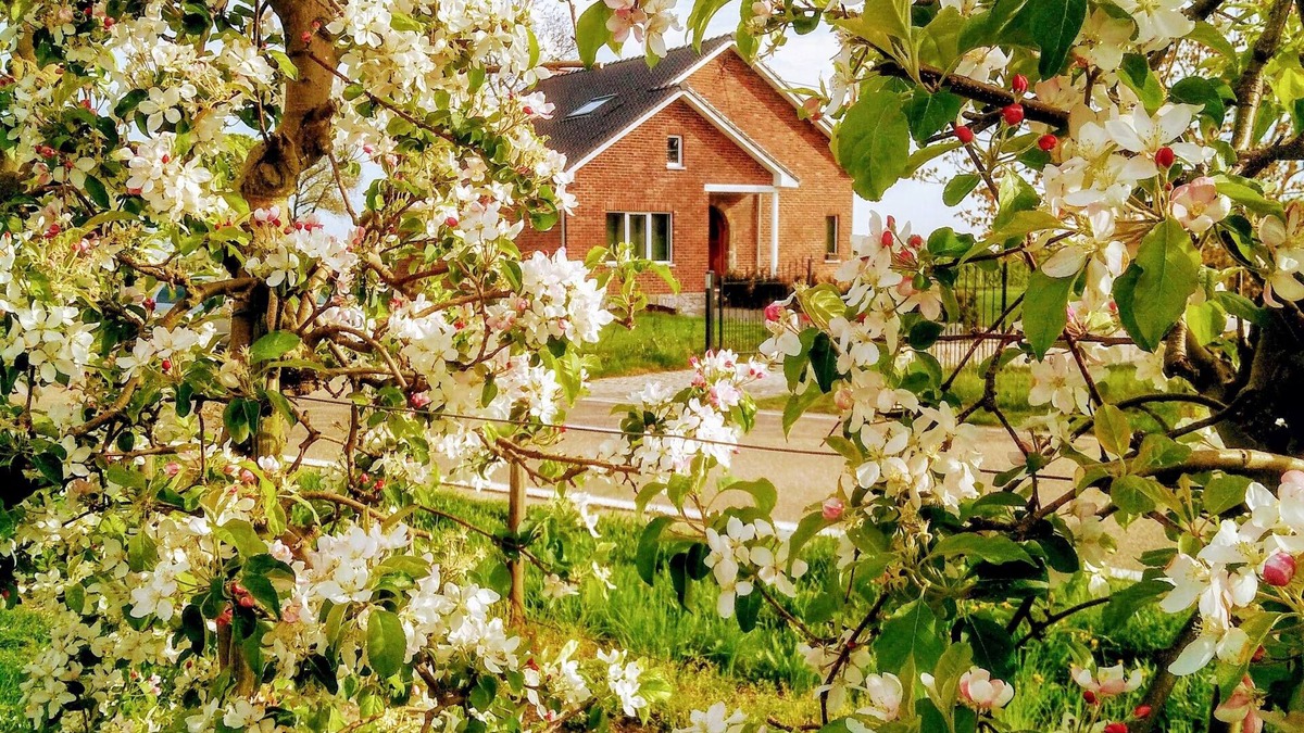 Gingelom House | De Oude Katsei