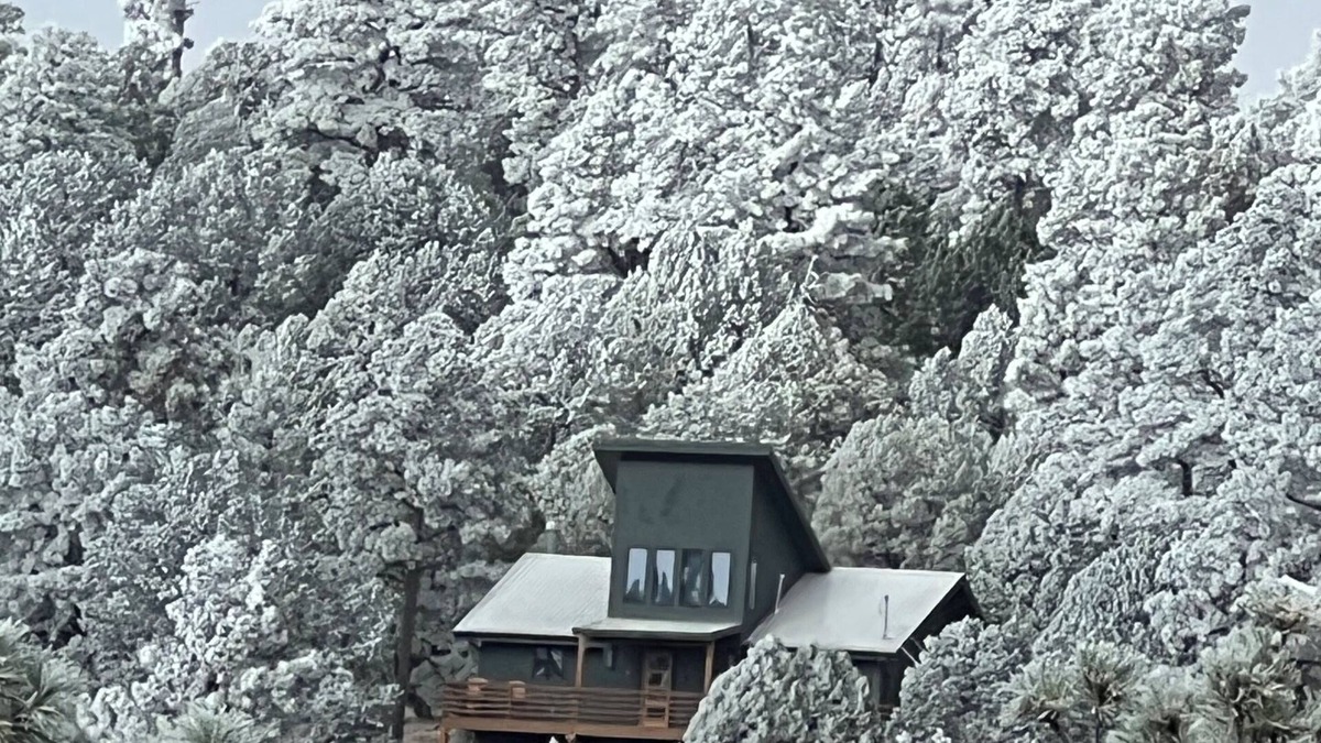 Alto Cabin | Deer Lover's Paradise