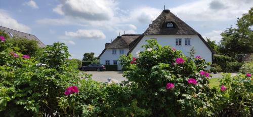 Großdunsum Apartment | Deichhof Whg 21