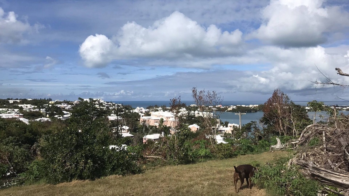 Smith's House | deleted from vrbo