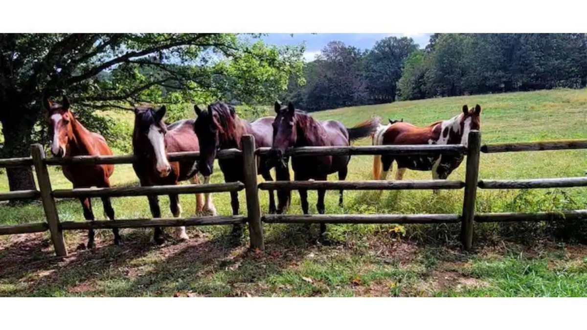 Ponce De Leon Other | Delightful Cabin on the Prairies of Sleepy Hollow