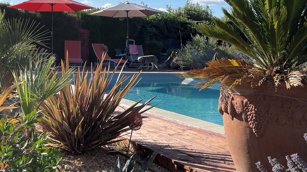 Jumilhac-le-Grand Apartment | Delightful french rustic studio in the Dordogne. We welcome your pet!