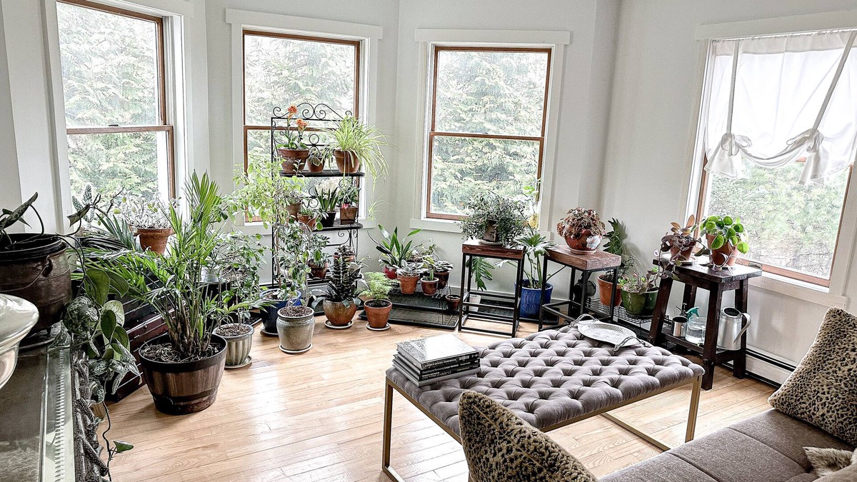 Stanfordville House | Delightful Farm Stay In Horse Country: High speed Wifi, Freshly Laid Eggs Daily
