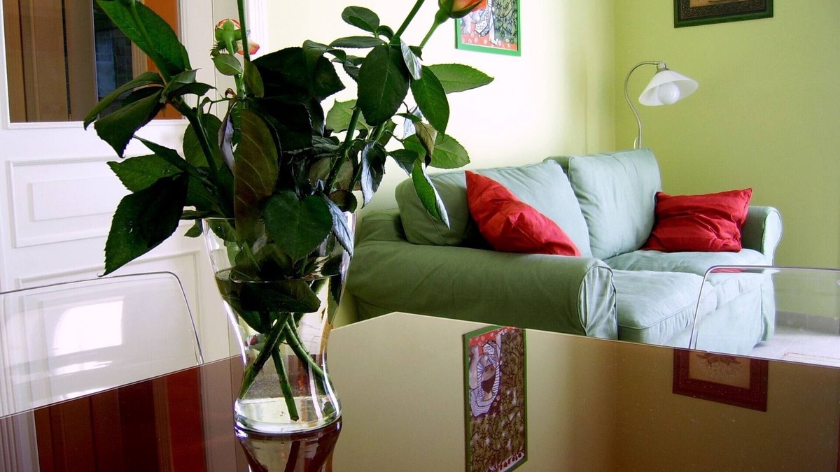 Old Town Apartment | Delightfully furnished, quiet and comfortable, in the historic center