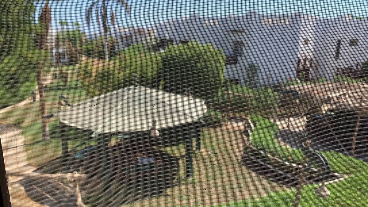 Sharm El Sheikh Apartment | Delta Sharm Resort
